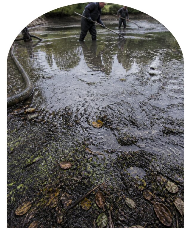 Очистка пруда в Михайловке от ила мусора и водорослей с вывозом